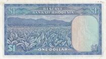Rhod&eacute;sie $1 - Coat of Arms - Tobacco Field - 1979 - Series L/121