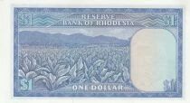 Rhodesien 1 dollar - Armoiries - Champ de tabac - 18-08-1971 - S&eacute;rie L/38
