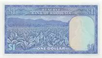 Rodesia 1 Dollar - 02-08-1979 - Replacement - P.38