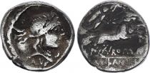 Roma Republic Denarius,  Junia 91 BC Rome - F