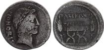 Roma Republic Denarius,  Lollia 45 BC Rome - F
