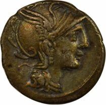 Roma Republic Marcia Gens - Silver Denarius, Triga - 111 / 110 BC Rome
