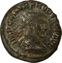 Roman Empire Antoninianus - Probus - RESTITVT ORBIS - Antioch