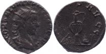 Roman Empire Antoninianus, Saloninus (259-260) - PIETAS AVGG