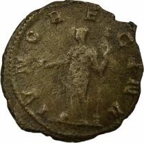 Roman Empire Salonina  - Antoninianus, Juno - 257 / 258 Rome