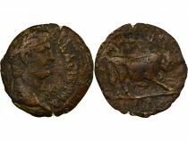 Rome - Provinces Egypt, Claudius- Diobol, with Bull - Year 4 (44 AC) Alexandria