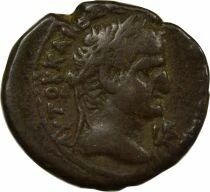 Rome - Provinces Egypt, Vespasian - Tetradrachm - Year 2 (69 / 70) Alexandria