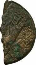 Rome - Provinces Gallia Narbonensis, Augustus & Agrippa - As, 2nd Type - 10 / 8 BC Nemausus