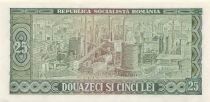 Roumanie 25 Lei - Tudor Vladimirescu - 1966 - P.95