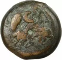 Royaume Lagide, Ptol&eacute;m&eacute;e VI - Dichalque - Alexandrie, 170-160 Av Jc