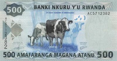 Ruanda 500 Francs - Cows - 2013 - P.38