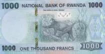 Rwanda 1000 Francs Factory - Doggett\'s guenon - 2019