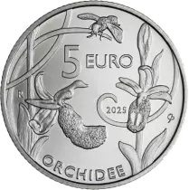 Saint-Marin Coffret BU Euro 2025 avec 5 ? Argent Orchidée sauvage
