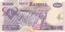 Sambia 100 Kwacha Eagle - Waterfall 2005