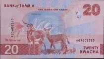 Sambia 20 Kwacha - Chishimba Falls - Candelabra Tree - 2024 - Serial AG