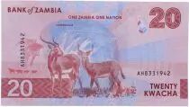 Sambia 20 Kwacha - Chishimba Falls - Candelabra Tree - 2024 - Serial AH