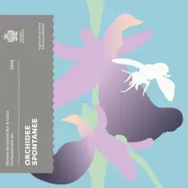 San Marino BU Euro 2024 box set with ?5 Silver Butterfly