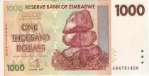 Simbabwe 1000 Dollar Chiremba