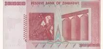 Simbabwe 20 Trillion dollars - Chiremba - 2008 - P.89