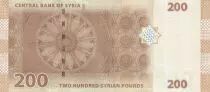 Siria 200 Pounds - Monuments - 2021 - Serial B