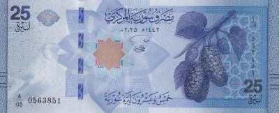 Siria 25 Pounds - Blackberries and Birds - Central Bank of Syria - 2025 - Series A/05