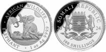 Somalia 100 Shillings - 1 Ounce Silver Somalia 2024 - Elephant