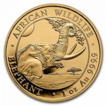 Somalie 1 000 Shillings 2023 Somalie - 1 Once OR - Éléphant