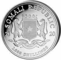 Somalie 1 Kilo Argent Somalie 2020 - &Eacute;l&eacute;phant