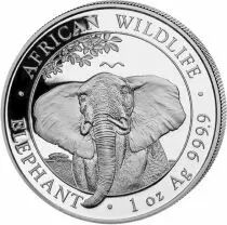 Somalie 1 Once Argent Somalie 2021 - &Eacute;l&eacute;phant