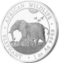 Somalie 1 Once Argent Somalie 2022 - &Eacute;l&eacute;phant
