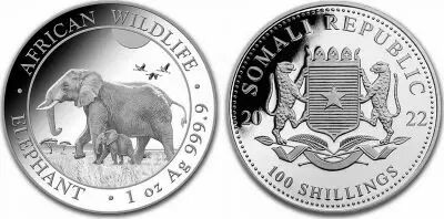 Somalie 100 Shillings El�phants - Once Argent 2022
