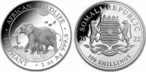 Somalie 100 Shillings Eléphants - Once Argent 2022