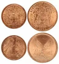 South Africa Bird type