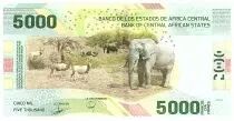 Staaten Zentralen Afrikas 5000 Francs - Central Bank of Youand&eacute; - 2020 (2022) - Letter C4