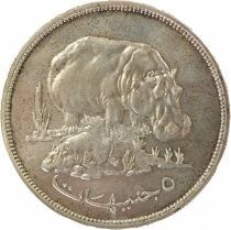 Sudan 5 Silver Pounds, Hippopotamus - 1976 Llantrisant
