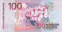 Suriname 100 Gulden Oiseaux Long-tailed Hermit - 2000