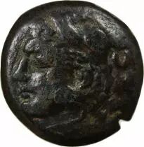 Syracuse - Bronze Litra - 278-276 BC