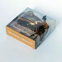 Tanzanie 1 000 Shillings 2014 - Vautour