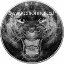 Tanzanie 1 500 Shillings - 2016 - Panth&egrave;re noire