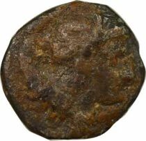 Taranto - Silver Diobol - IVth Century BC