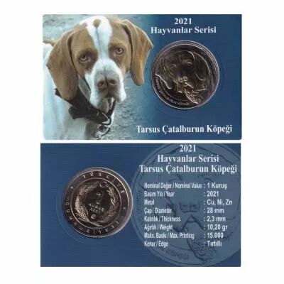 Turquie 1Kurush- Coincard - S�rie Chien catalburun - 2021 - Bim�tallique