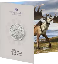 United Kingdom Giant deer - 50 Pences 2024 BU