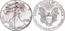 USA 1 Dollar,  American Silver Eagle - 1987