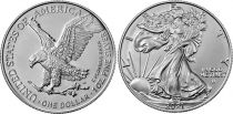 USA 1 Dollar American Eagle - Type 2 - 2021 - Argent