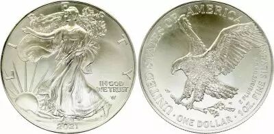 USA 1 Dollar American Eagle - Type 2 - 2021 - SILVER