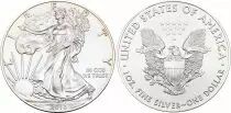 USA 1 Dollar Liberty, Aigle - Once Argent 2016