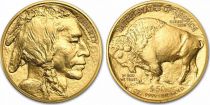 USA 50 Dollars Liberty - Buffalo - 2022 Gold