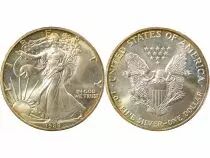 USA American Silver Eagle Dollar - 1989