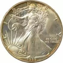 USA American Silver Eagle Dollar - 1989
