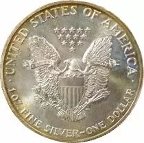USA American Silver Eagle Dollar - 1989
